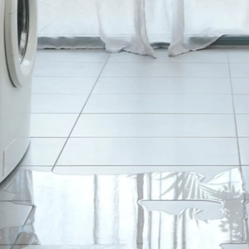 Appliance Leak Cleanup in South Lyon, MI