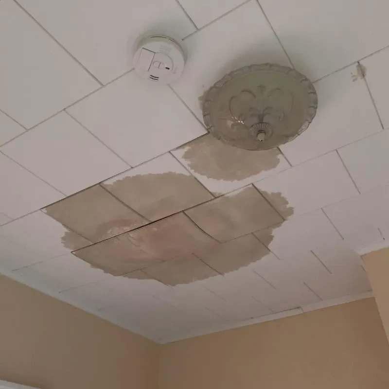 Ceiling Water Damage Repair in South Lyon, MI