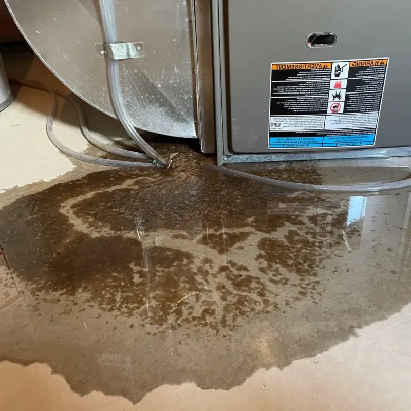 Pipe Burst and Leak Restoration in South Lyon, MI
